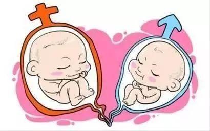 志愿者供卵咨询费用多少